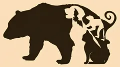 Ilusão de ótica com cinco animais: qual você vê primeiro e o que isso diz sobre sua personalidade?
